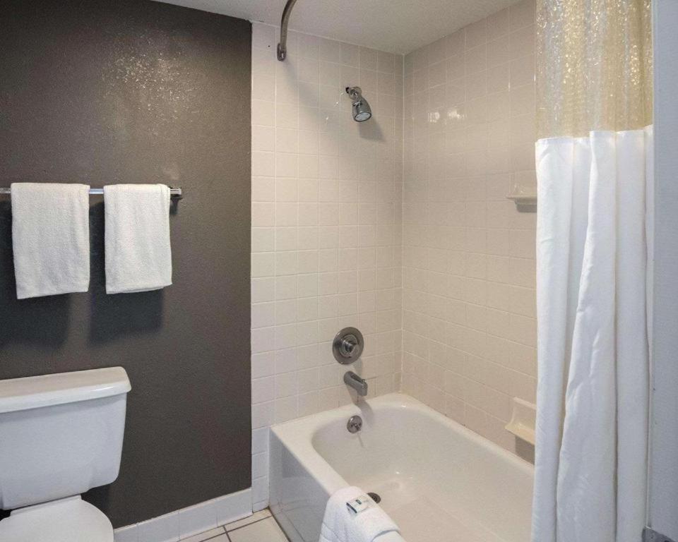 Deluxe King Room interior